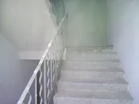 WP_000933.webp