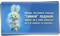 .webp