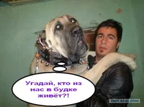 .webp