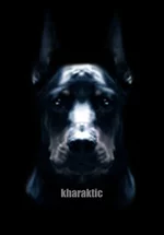 Kharaktic 2.webp