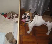 IMG_6152 1 (Large).webp