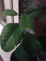 2013-03-23 20.33.37.webp