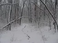 IMG_1755.webp