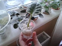 20130324_100421.webp