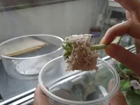 20130324_100512.webp