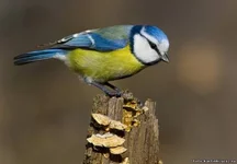 616880886.webp