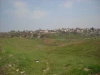 syavkinyar3.webp
