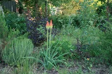 082.webp