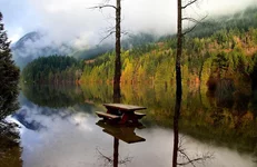 p73038179-5.webp