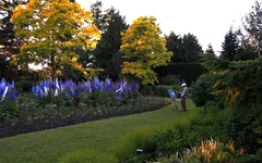 p14375600-5.jpg