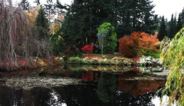 p821481432-5.jpg