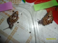 SAM_4580.webp