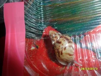 SAM_4579.webp