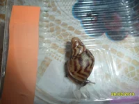 SAM_4575.webp