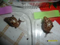 SAM_4574.webp
