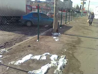 Image0193.webp