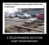 255064_593938.webp