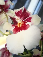 DSC03605.webp