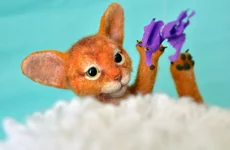 cat-12-3.webp