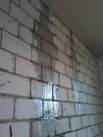 Foto0420.webp