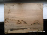 SAM_0281.webp
