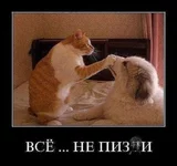не пизди.jpg