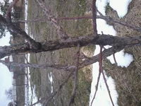 2013-03-30 09.46.11.webp