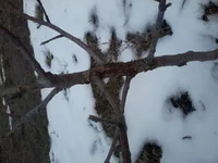 2013-03-30 09.46.23.webp