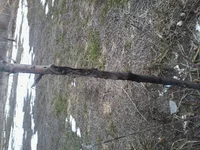 2013-03-30 09.46.37.webp