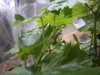 2013-04-01 11.10.51.webp