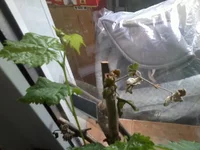 2013-04-01 11.11.18.webp