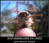 Bfw3Y2Fl2dM.webp