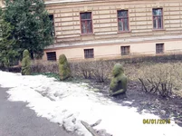 IMG_6642.webp