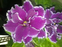 030420132468.webp
