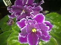030420132470.webp