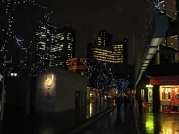 IMG_0145.jpg
