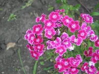  079.webp