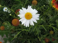  120.webp