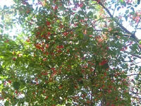  025.webp