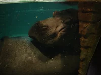 zoo0001_1.webp