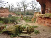 zoo0001_3.webp