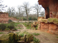 zoo0001_5.JPG