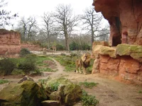 zoo0001_5.webp