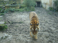 zoo0001_6.JPG