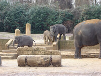 zoo0001_9.JPG