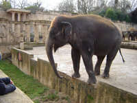 zoo0001_10.JPG