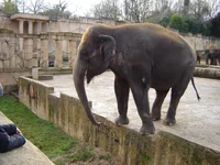 zoo0001_10.webp