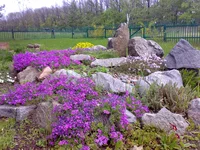 27042008142.webp