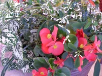 P7300037__ss.jpg