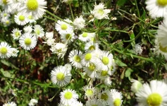 P73000491__ss.webp